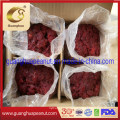 Good Quality Dried Strawberry Dices New Crop